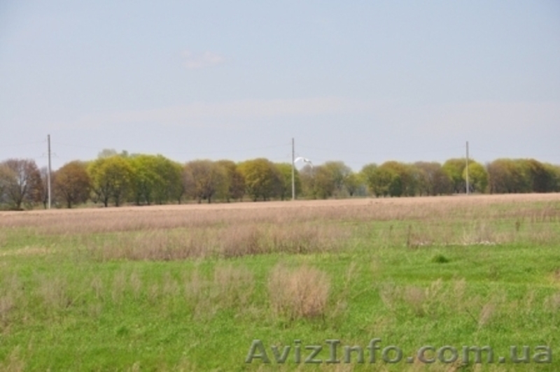 Продажа участка с электричеством 10 соток - <ro>Изображение</ro><ru>Изображение</ru> #2, <ru>Объявление</ru> #757898