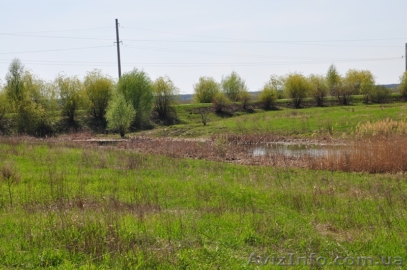 Продажа участка с электричеством 10 соток - <ro>Изображение</ro><ru>Изображение</ru> #4, <ru>Объявление</ru> #757898