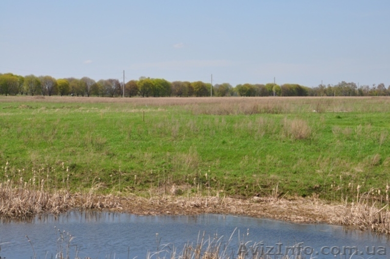 Продажа участка с электричеством 10 соток - <ro>Изображение</ro><ru>Изображение</ru> #1, <ru>Объявление</ru> #757898