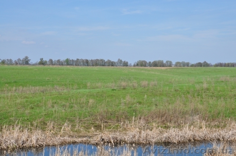 Продажа участка с электричеством 10 соток - <ro>Изображение</ro><ru>Изображение</ru> #5, <ru>Объявление</ru> #757898