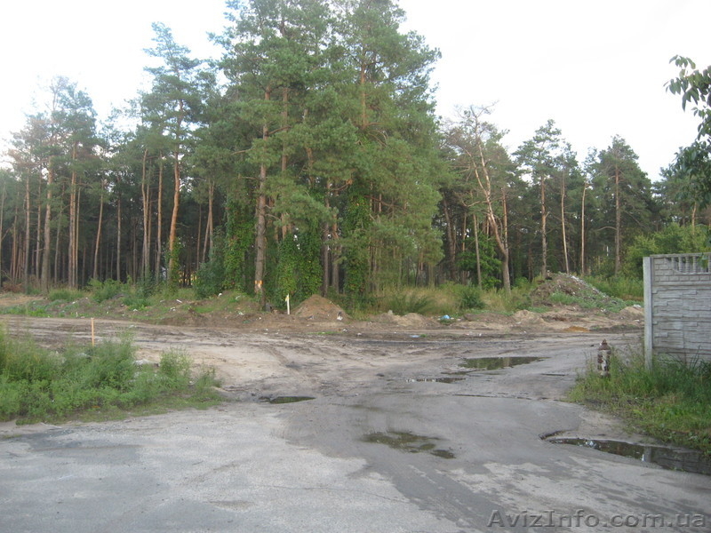 Продам участок Быковня ул. Путивловская - <ro>Изображение</ro><ru>Изображение</ru> #1, <ru>Объявление</ru> #754487
