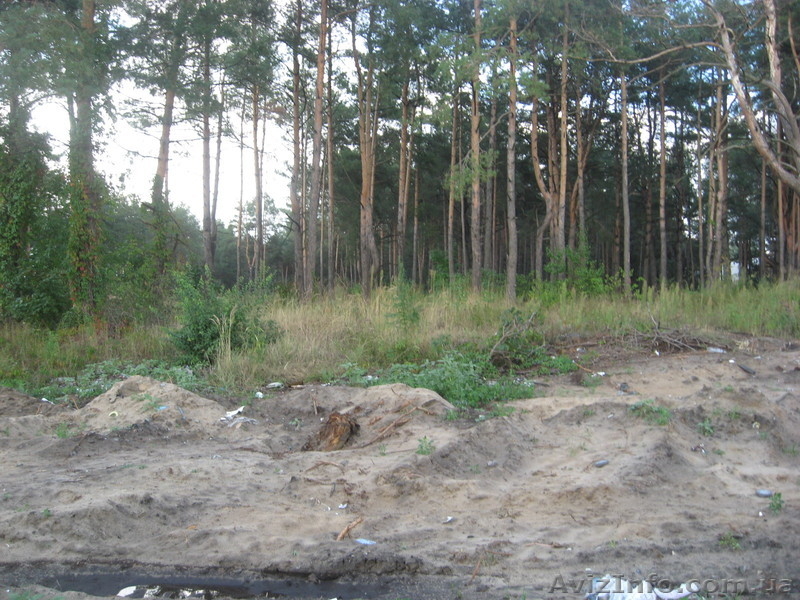 Продам участок Быковня ул. Путивловская - <ro>Изображение</ro><ru>Изображение</ru> #4, <ru>Объявление</ru> #754487