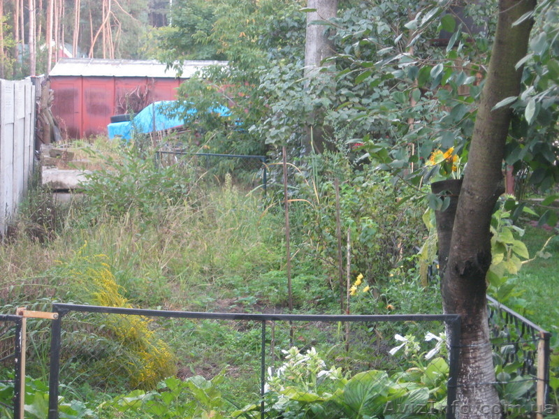 Продам участок Быковня ул. Путивловская - <ro>Изображение</ro><ru>Изображение</ru> #5, <ru>Объявление</ru> #754487