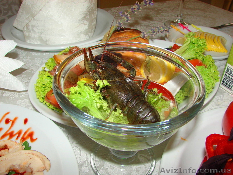 Проведение выездных церемоний в отеле Лавилиа - <ro>Изображение</ro><ru>Изображение</ru> #7, <ru>Объявление</ru> #759002