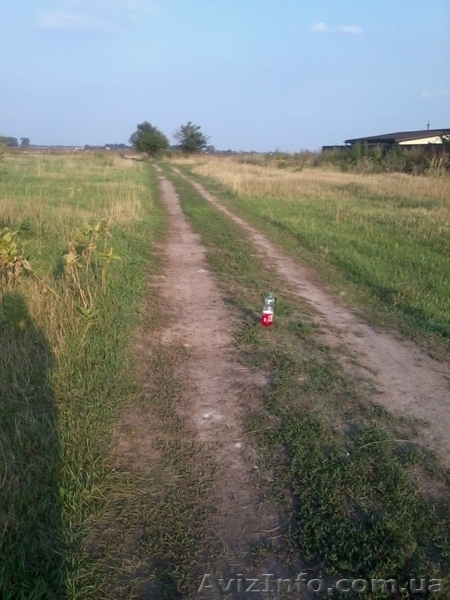 Участок в с.Ревне - <ro>Изображение</ro><ru>Изображение</ru> #1, <ru>Объявление</ru> #781981