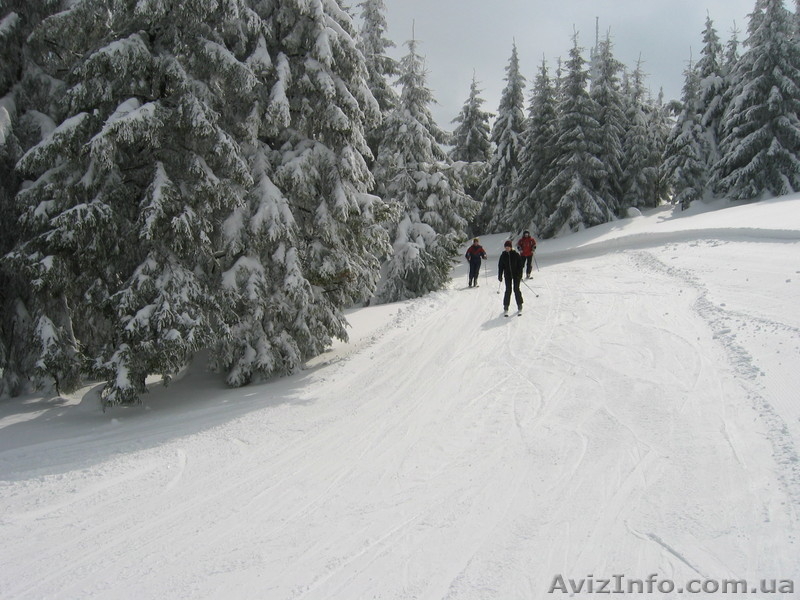 Новый год в Карпатах! - <ro>Изображение</ro><ru>Изображение</ru> #2, <ru>Объявление</ru> #781766