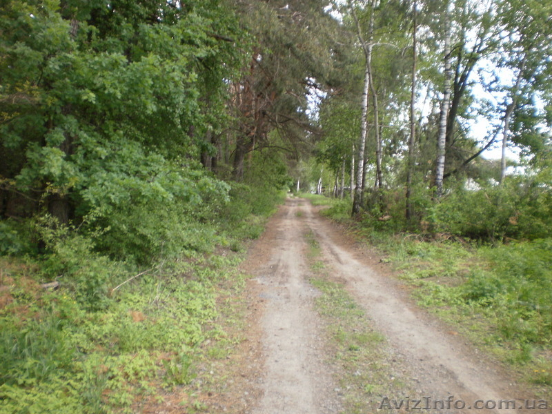 продам участок в Броварах 2км от ТРЦ-Терминал - <ro>Изображение</ro><ru>Изображение</ru> #7, <ru>Объявление</ru> #766615