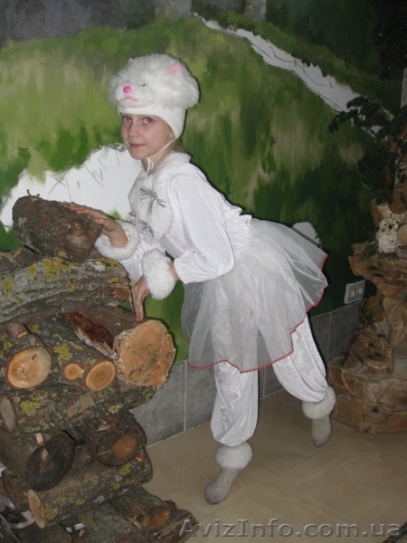 Карнавальные костюмы для детей. Прокат. КПИ от 40 грн - <ro>Изображение</ro><ru>Изображение</ru> #10, <ru>Объявление</ru> #103179