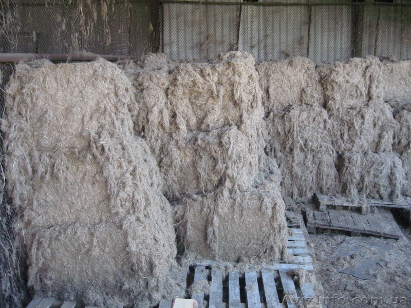 Пакля, вытруска и др. - <ro>Изображение</ro><ru>Изображение</ru> #2, <ru>Объявление</ru> #799862