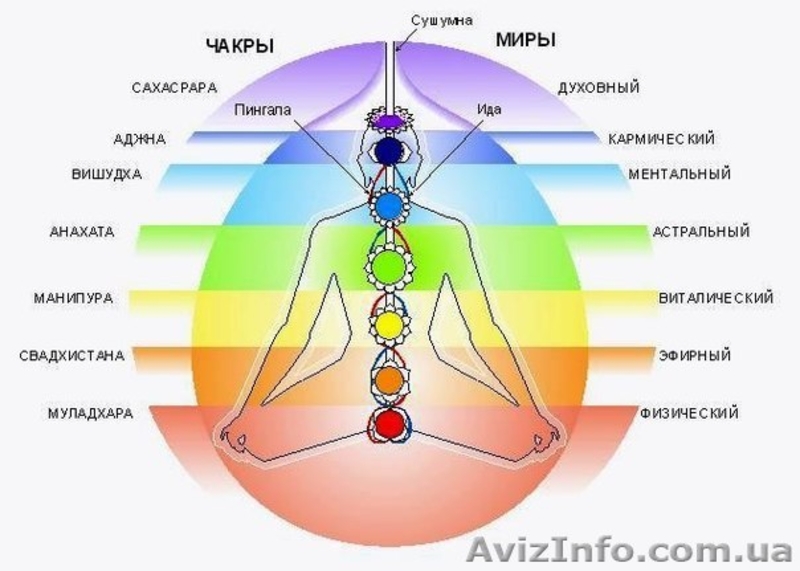 Обследование физического и энергетического состояния вашего организма - <ro>Изображение</ro><ru>Изображение</ru> #5, <ru>Объявление</ru> #792043