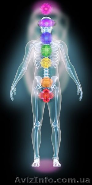 Обследование физического и энергетического состояния вашего организма - <ro>Изображение</ro><ru>Изображение</ru> #4, <ru>Объявление</ru> #792043