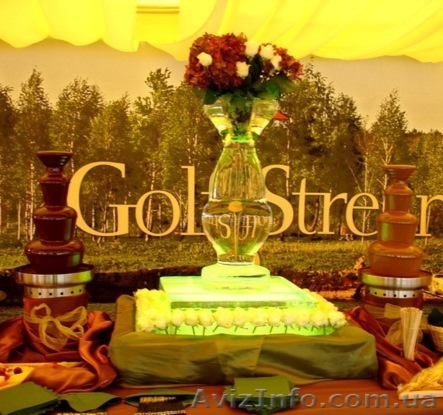 Аренда шоколадных  фонтанов на корпоратив! - <ro>Изображение</ro><ru>Изображение</ru> #5, <ru>Объявление</ru> #806471