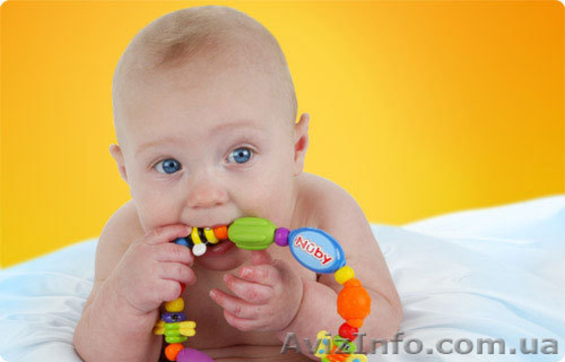 Прорезыватели Nuby от 3х месяцев, отличный выбор. - <ro>Изображение</ro><ru>Изображение</ru> #5, <ru>Объявление</ru> #809259