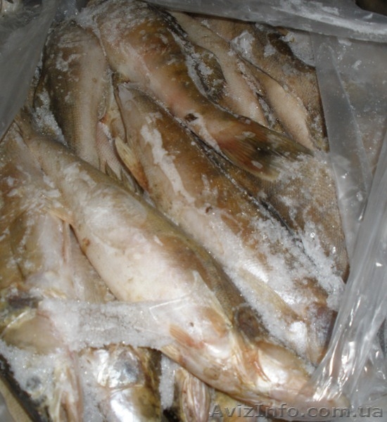 вяленая,копченая,свежемороженая рыба - <ro>Изображение</ro><ru>Изображение</ru> #3, <ru>Объявление</ru> #827754