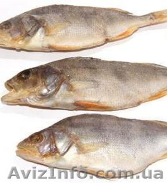 вяленая,копченая,свежемороженая рыба - <ro>Изображение</ro><ru>Изображение</ru> #7, <ru>Объявление</ru> #827754