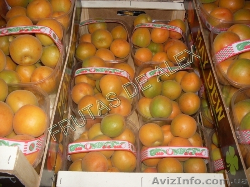 Фрукты и овощи Испанского происхождения - <ro>Изображение</ro><ru>Изображение</ru> #10, <ru>Объявление</ru> #817073