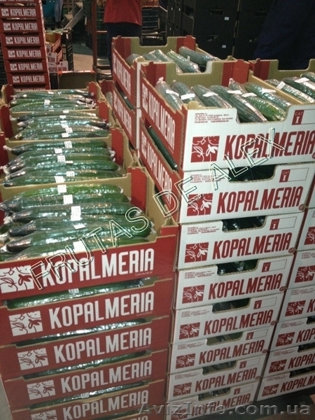 Томаты,огурец ,перец,баклажаны из Испании - <ro>Изображение</ro><ru>Изображение</ru> #10, <ru>Объявление</ru> #817083