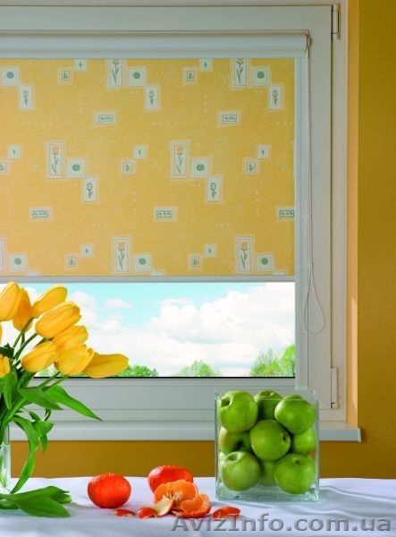 Рулонные шторы открытого типа,жалюзи,ролеты,москитные сетки,мансардные системы.. - <ro>Изображение</ro><ru>Изображение</ru> #4, <ru>Объявление</ru> #830838