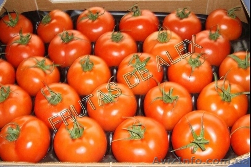 Томаты,огурец ,перец,баклажаны из Испании - <ro>Изображение</ro><ru>Изображение</ru> #1, <ru>Объявление</ru> #817083