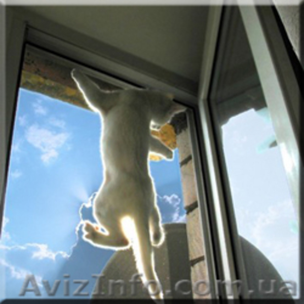 Жалюзи. Ролеты. Сетки. Защитные роллеты. Киев - <ro>Изображение</ro><ru>Изображение</ru> #7, <ru>Объявление</ru> #91655