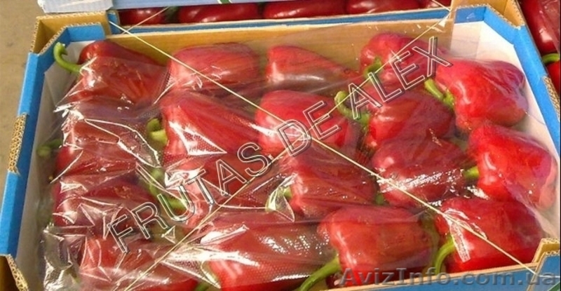 Томаты,огурец ,перец,баклажаны из Испании - <ro>Изображение</ro><ru>Изображение</ru> #3, <ru>Объявление</ru> #817083