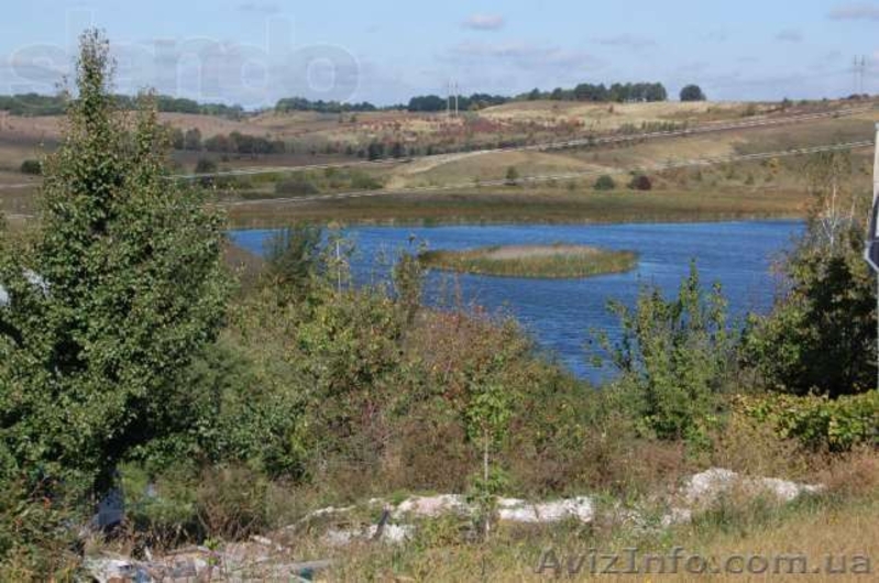 Продам дачный участок с. кулибаба, Васильковский р-он - <ro>Изображение</ro><ru>Изображение</ru> #5, <ru>Объявление</ru> #823052