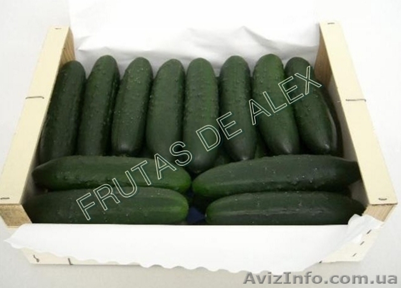 Фрукты и овощи Испанского происхождения - <ro>Изображение</ro><ru>Изображение</ru> #8, <ru>Объявление</ru> #817073