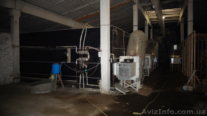 Продам действующий грибной бизнес. Сергей , 067-12-999-44 - <ro>Изображение</ro><ru>Изображение</ru> #3, <ru>Объявление</ru> #821189