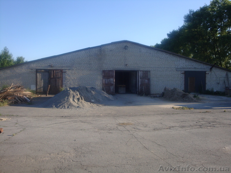 Продам действующий грибной бизнес. Сергей , 067-12-999-44 - <ro>Изображение</ro><ru>Изображение</ru> #9, <ru>Объявление</ru> #821189