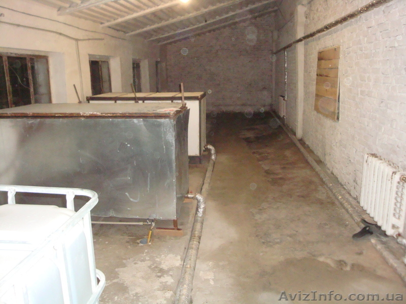 Продам действующий грибной бизнес. Сергей , 067-12-999-44 - <ro>Изображение</ro><ru>Изображение</ru> #4, <ru>Объявление</ru> #821189