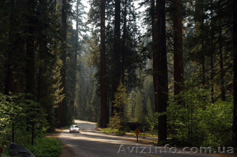 Земельные участки 7км от Киева - <ro>Изображение</ro><ru>Изображение</ru> #1, <ru>Объявление</ru> #824033