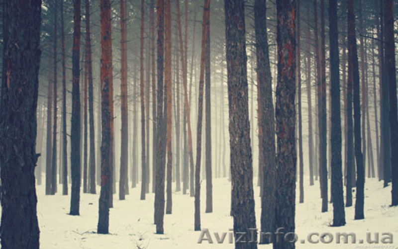 Земельные участки 7км от Киева - <ro>Изображение</ro><ru>Изображение</ru> #2, <ru>Объявление</ru> #824033