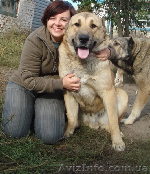 Предлагаю кабелей на вязку - <ro>Изображение</ro><ru>Изображение</ru> #5, <ru>Объявление</ru> #836770