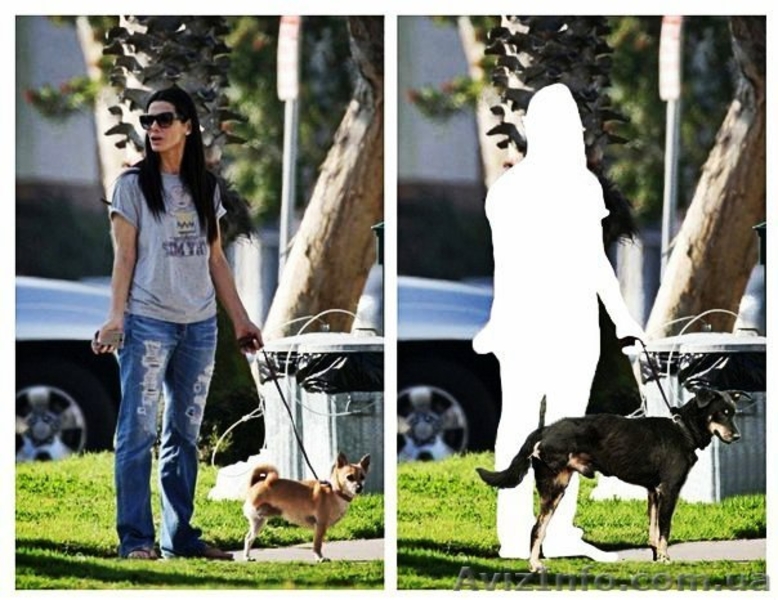 Особливий Друг шукає свою Сандру Баллок! - <ro>Изображение</ro><ru>Изображение</ru> #7, <ru>Объявление</ru> #842471