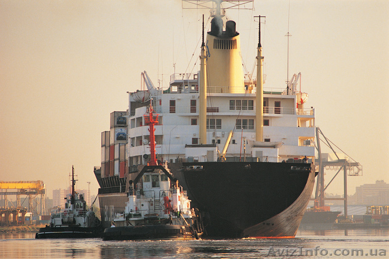 Международные и региональные грузоперевозки - <ro>Изображение</ro><ru>Изображение</ru> #5, <ru>Объявление</ru> #845302