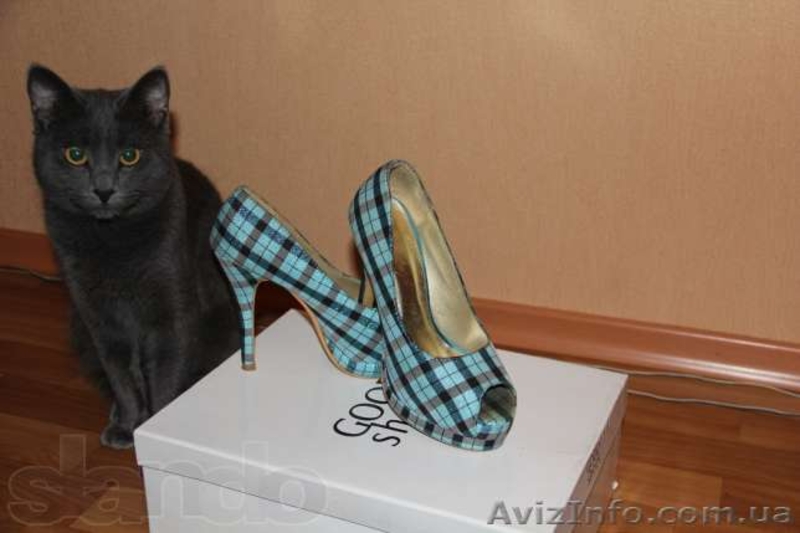 Женская обувь туфли - <ro>Изображение</ro><ru>Изображение</ru> #1, <ru>Объявление</ru> #848654