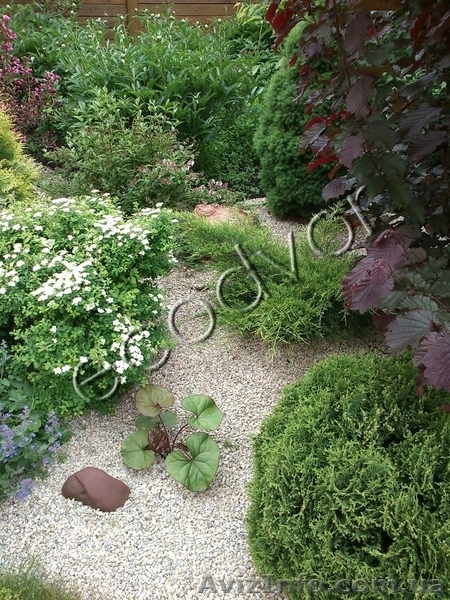 Услуги по ландшафту - <ro>Изображение</ro><ru>Изображение</ru> #3, <ru>Объявление</ru> #842953