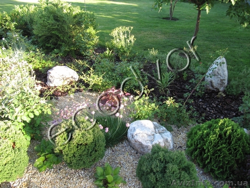 Услуги по ландшафту - <ro>Изображение</ro><ru>Изображение</ru> #2, <ru>Объявление</ru> #842953