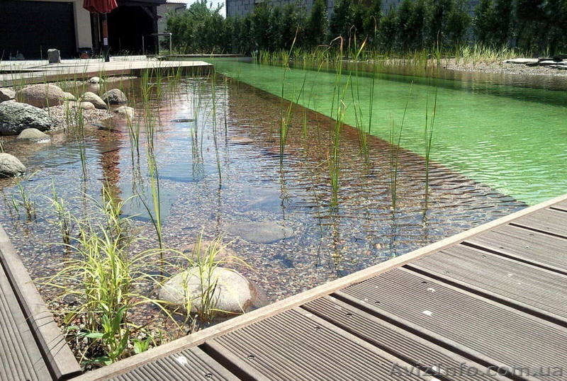 Искусственные водоемы, плавательные пруды, озера - <ro>Изображение</ro><ru>Изображение</ru> #2, <ru>Объявление</ru> #846218