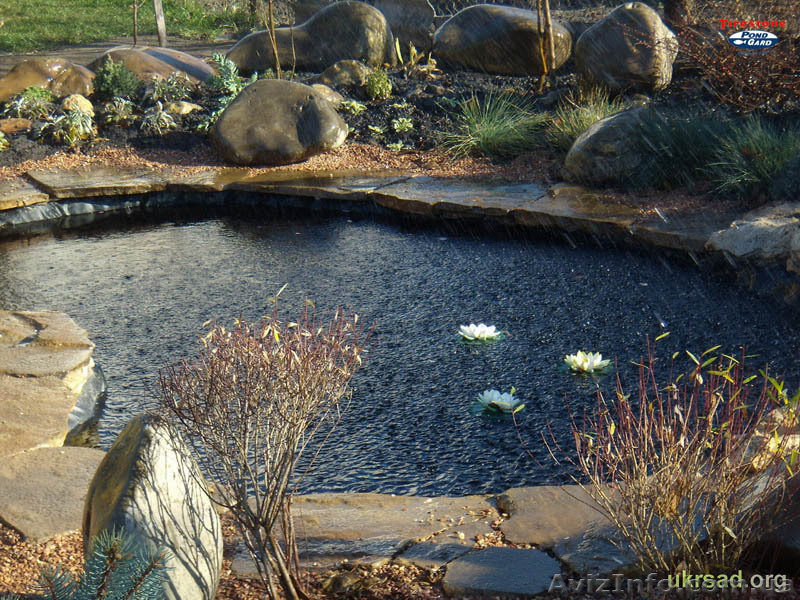 Искусственные водоемы, плавательные пруды, озера - <ro>Изображение</ro><ru>Изображение</ru> #4, <ru>Объявление</ru> #846218