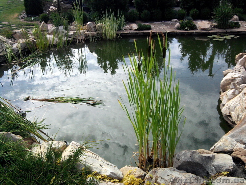 Искусственные водоемы, плавательные пруды, озера - <ro>Изображение</ro><ru>Изображение</ru> #7, <ru>Объявление</ru> #846218