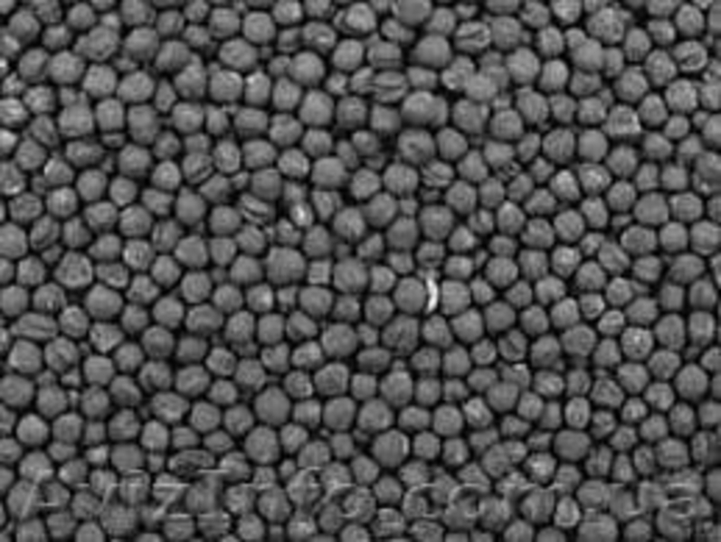 семена для посева, семена полевых и озимых культур - <ro>Изображение</ro><ru>Изображение</ru> #3, <ru>Объявление</ru> #842893