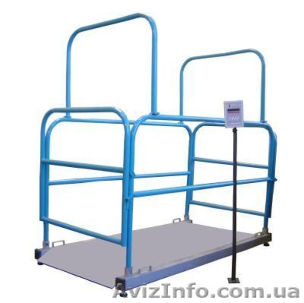 Ремонт весов электронных и механических - <ro>Изображение</ro><ru>Изображение</ru> #8, <ru>Объявление</ru> #848641