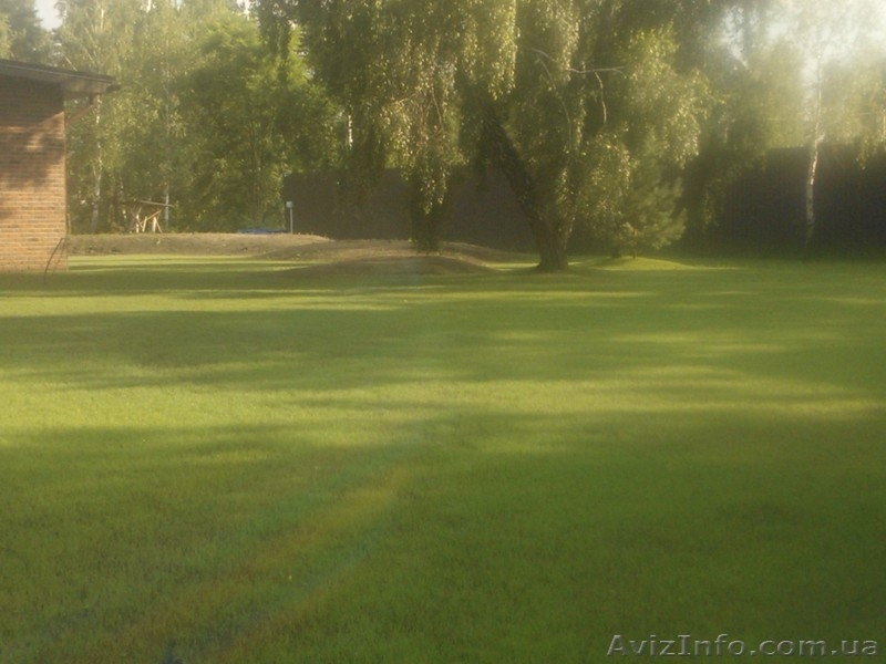 Озеленение облагоустройство территории - <ro>Изображение</ro><ru>Изображение</ru> #3, <ru>Объявление</ru> #840781