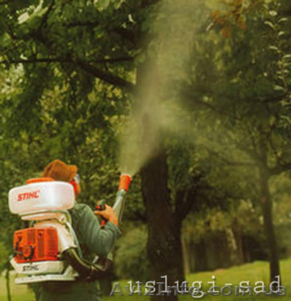 Обработка сада. Химическое опрыскивание деревьев Киев и область - <ro>Изображение</ro><ru>Изображение</ru> #1, <ru>Объявление</ru> #855791