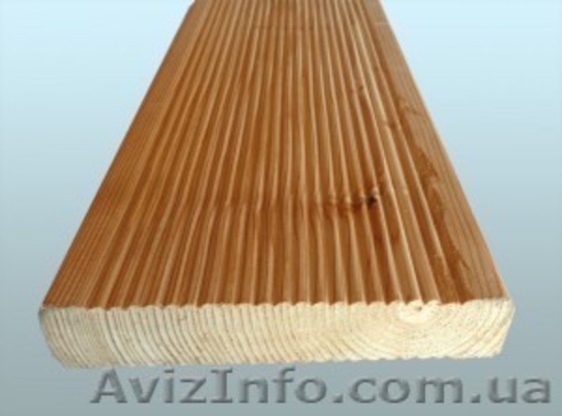 Лиственница сибирская Киев - <ro>Изображение</ro><ru>Изображение</ru> #3, <ru>Объявление</ru> #857880