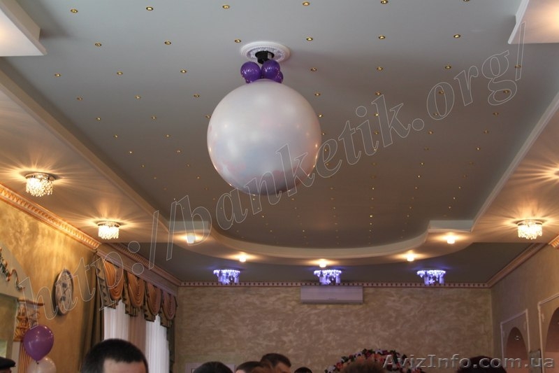 Шар-сюрприз, букеты из цветов - <ro>Изображение</ro><ru>Изображение</ru> #2, <ru>Объявление</ru> #868415