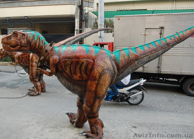 Продажа необычных аттракционов  - <ro>Изображение</ro><ru>Изображение</ru> #5, <ru>Объявление</ru> #853362