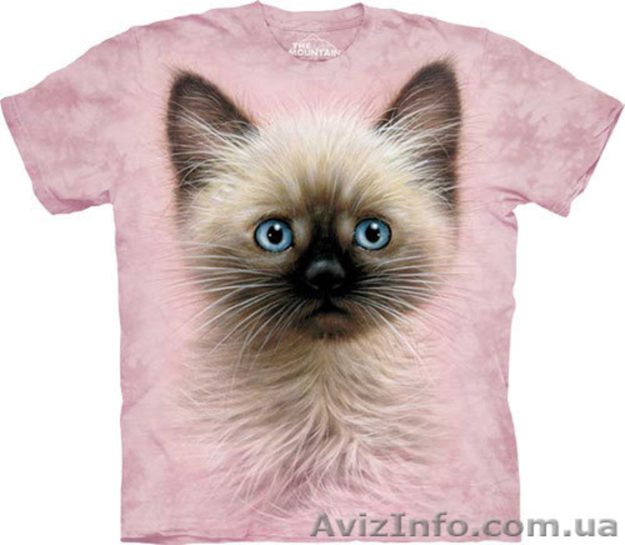 Хочешь выделиться??? Модные футболки Mountain с 3D-изображением!!! - <ro>Изображение</ro><ru>Изображение</ru> #4, <ru>Объявление</ru> #854426