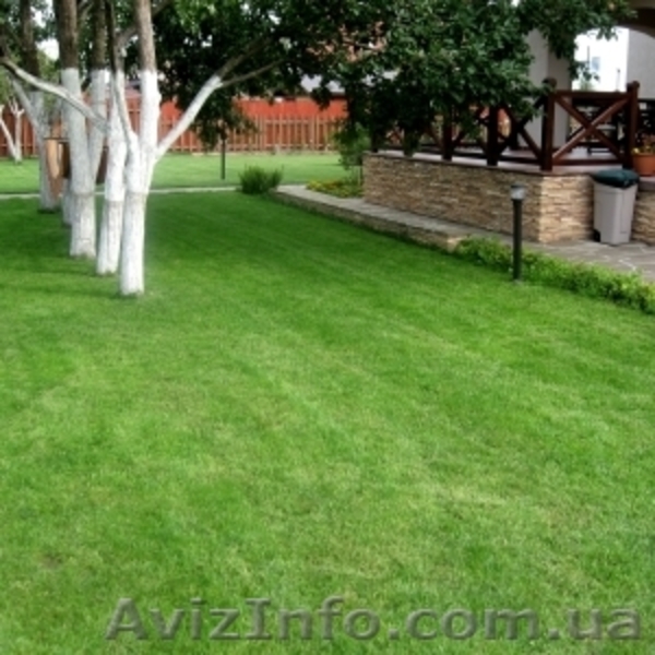 Реставрация  газонов - <ro>Изображение</ro><ru>Изображение</ru> #9, <ru>Объявление</ru> #853970